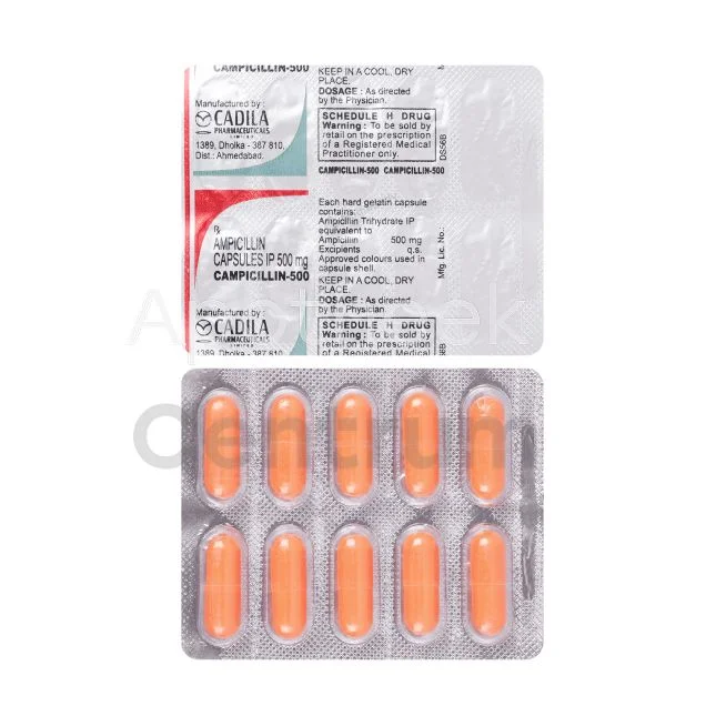 Ampicilline